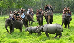 Chitwan National Park tour package by NAMO Nepal Trip, featuring exotic wildlife and lush landscapes
