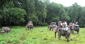 Chitwan National Park Tour – Best Wildlife Safaris
