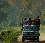 Jungle Safari in Nepal – Best Packages & Deals