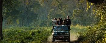 Jungle Safari in Nepal – Best Packages & Deals 6 Jungle Safari in Nepal – Best Packages & Deals