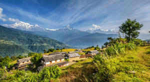 Top 5 National Parks in Nepal for Nature Lovers